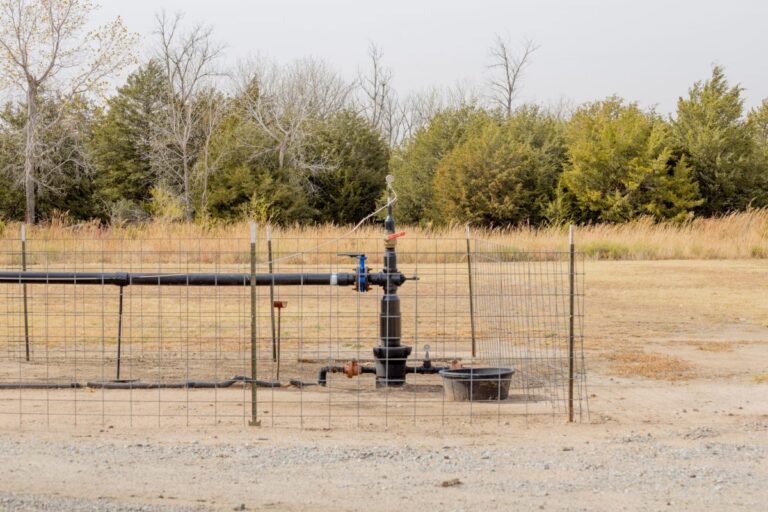 Microsoft is buying large amounts of carbon removal from xprize