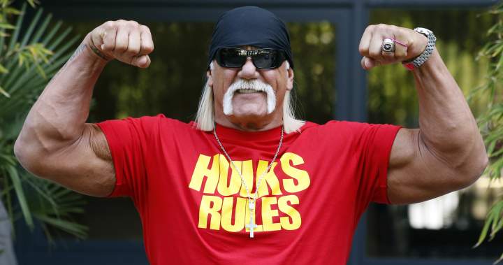 Wrestling legend Hulk Hogan Dead 71 – National Wrestling legend hulk hogan dead 71 national