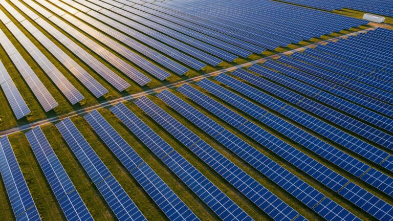 How Florida quietly surpasses California in the growth of the sun How florida quietly surpasses california in the growth of the