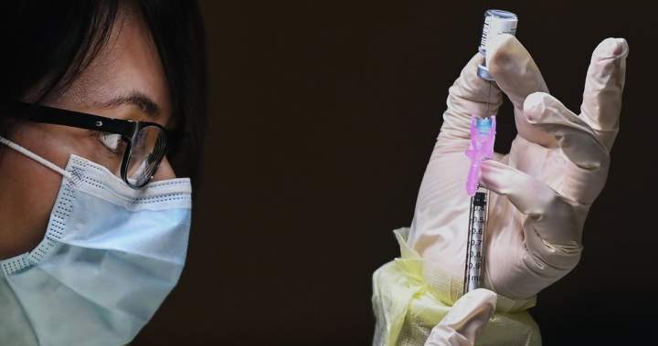 Pfizer says Canada just approved a new Covid-19 vaccine this fall – National Pfizer says canada just approved a new covid 19 vaccine this