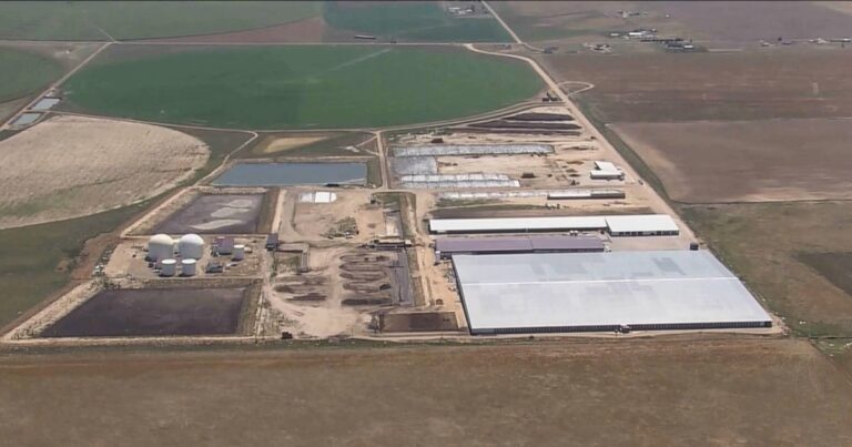 Six people killed in an accident due to Colorado dairy products Six people killed in an accident due to colorado dairy