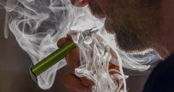 Stay away from vaping to stop smoking, Canadian researchers recommend – National Stay away from vaping to stop smoking, canadian researchers recommend