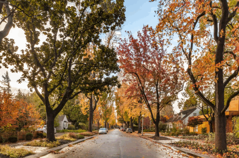 The hidden costs of living in mark zuckerberg's $110 million