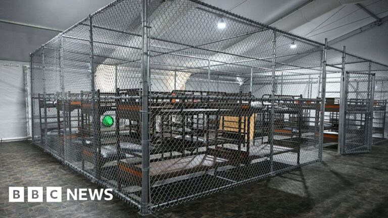 “Alligator Alcatraz” immigration centre can remain open, Court of Appeal Rules "alligator alcatraz" immigration centre can remain open, court of appeal