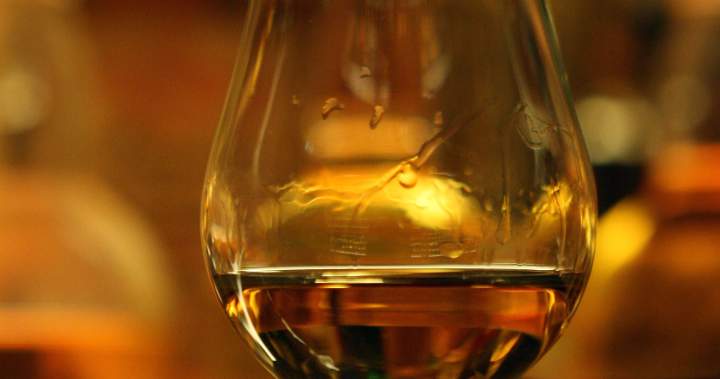 What is the link between alcohol and dementia? New research will shed light – National What is the link between alcohol and dementia? new research