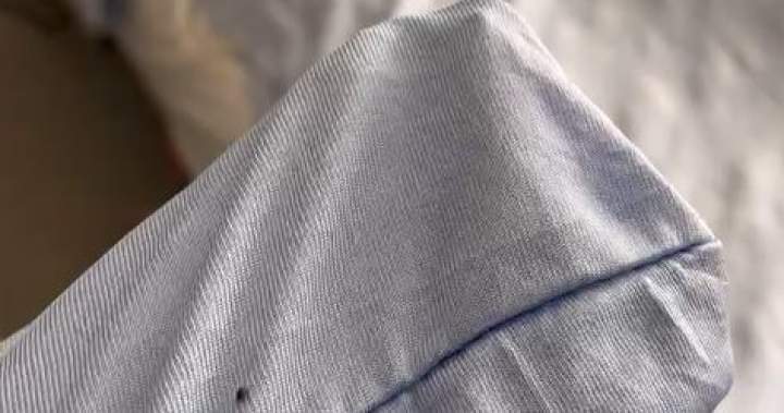 The daughter of a dying Toronto woman says she found a bed bug in a palliative care bed The daughter of a dying toronto woman says she found