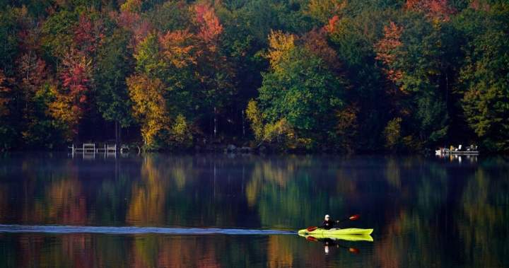 The latest prescription is to get outside – National The latest prescription is to get outside national