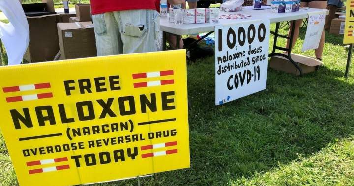 U.S. Court of Appeals overturns landmark West Virginia opioid case – National U.s. court of appeals overturns landmark west virginia opioid case