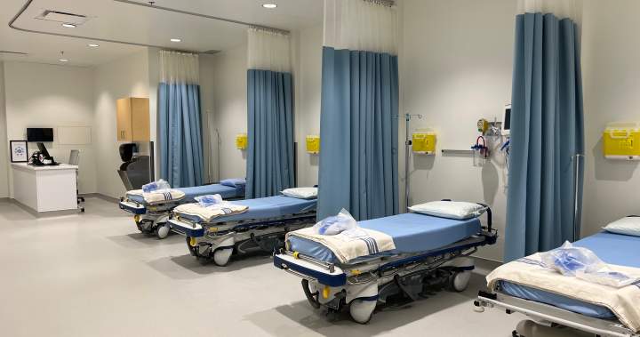 Alberta's plan to allow doctors to work in the public and private sectors has critics and health care advocates concerned. Alberta's plan to allow doctors to work in the public