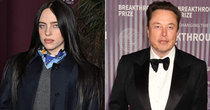 Billie Eilish slams Elon Musk as 'pathetic' for not donating huge fortune – National Billie eilish slams elon musk as 'pathetic' for not donating