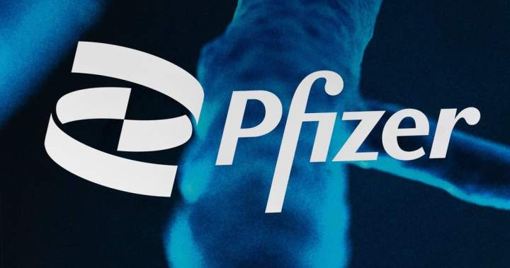 Pfizer signs contract with obesity drug developer Metsa after bidding war with Novo Nordisk – National Pfizer signs contract with obesity drug developer metsa after bidding
