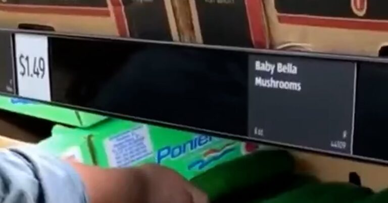 President Trump issues order to lift some food tariffs President trump issues order to lift some food tariffs