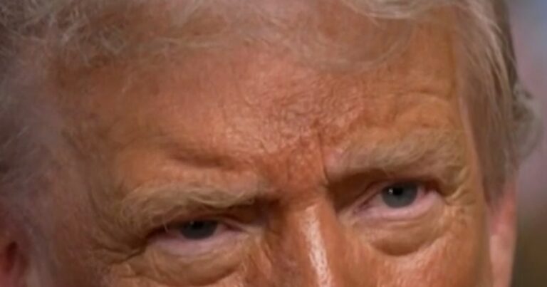 President Trump says immigration search is 'not progressing far enough' President trump says immigration search is 'not progressing far enough'