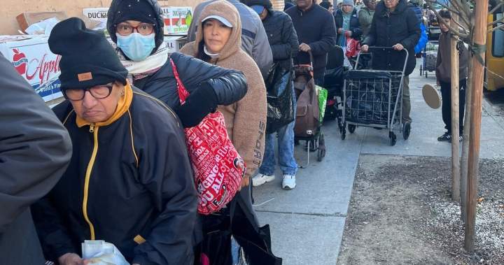 SNAP benefits cut off during shutdown, creating long lines at food pantries – National Snap benefits cut off during shutdown, creating long lines at