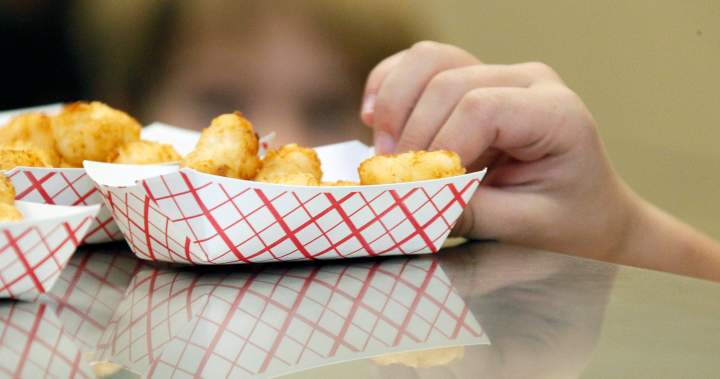 McCain Taters recalled in Canada over plastic pieces – National Mccain taters recalled in canada over plastic pieces national