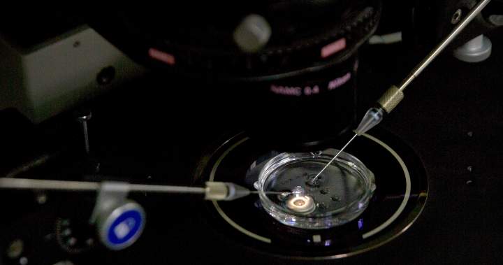 Nearly 200 children conceived by sperm donors carrying cancer-causing genes – National Nearly 200 children conceived by sperm donors carrying cancer causing genes